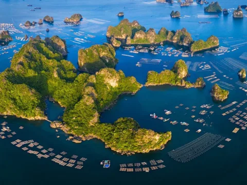 Explore Vietnam travel destinations, tips and itinerary ideas