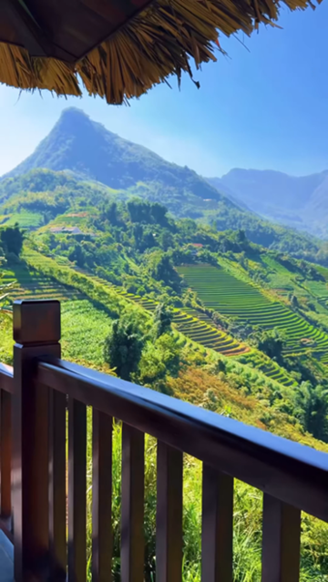 Golden rice terraces in Sapa during autumn harvest season under a clear sky