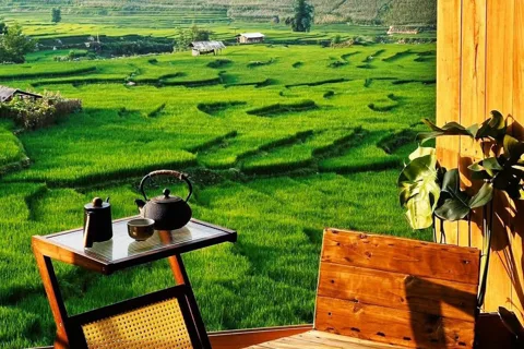 Panoramic view of terraced rice fields in Sapa, Vietnam, with a distant mountain range.