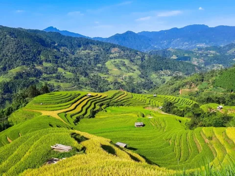 Sapa trekking