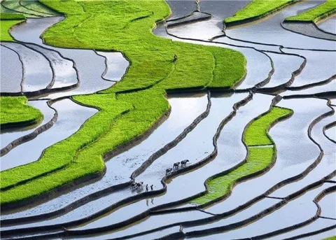 Sapa trekking