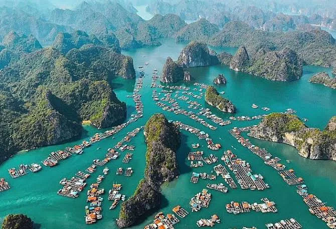 Traveling from Hanoi to Cat Ba Island: Your Transport Guide