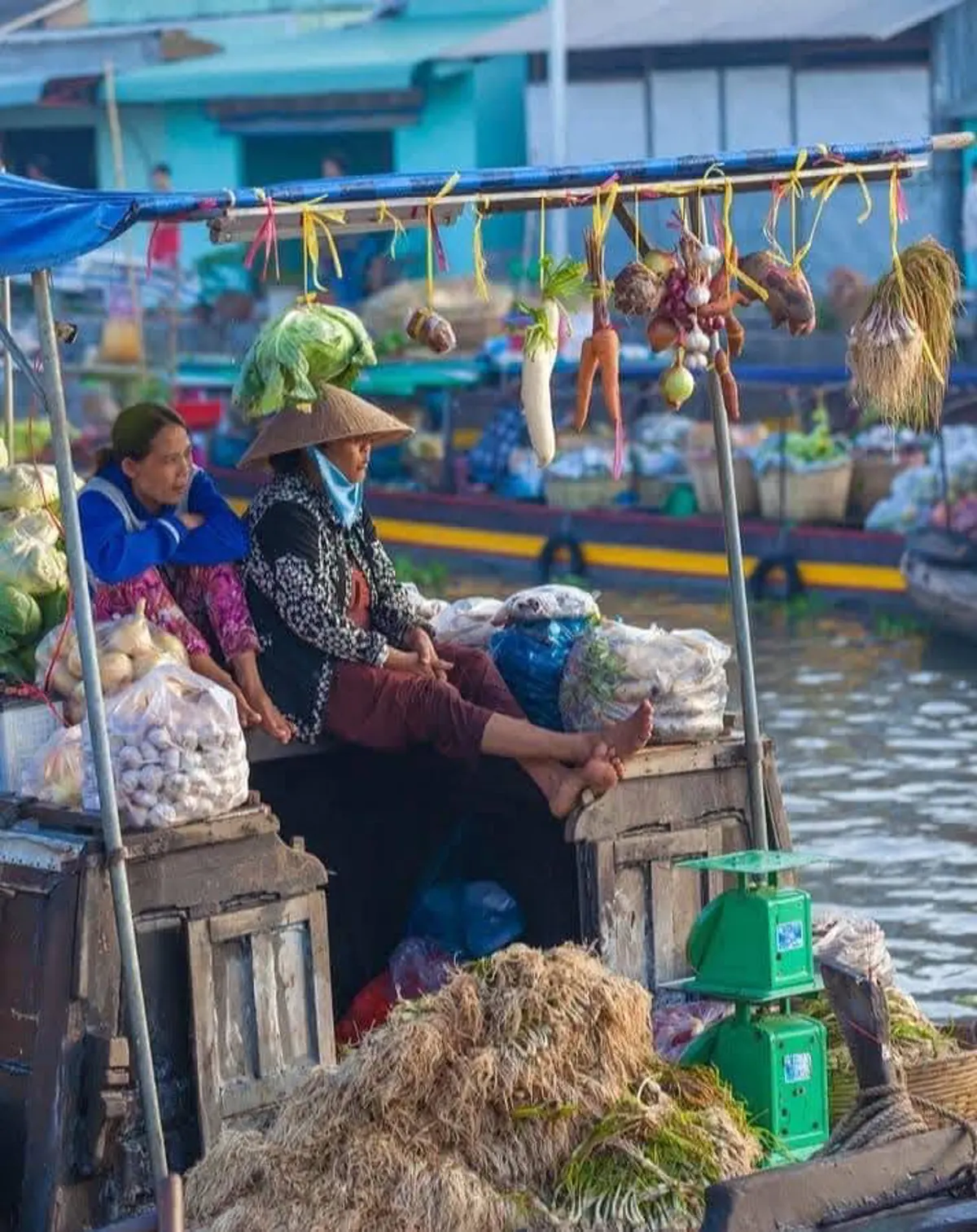 Choosing a Homestay in the Mekong Delta: Your Accommodation Guide