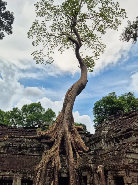 Cambodia in March: Climate Conditions and Essential Travel Advice