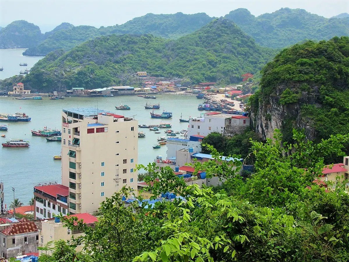 Exploring Cat Ba Island's Caves: History, Geology, and Visitor Guide