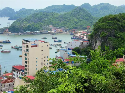 Exploring Cat Ba Island's Caves: History, Geology, and Visitor Guide