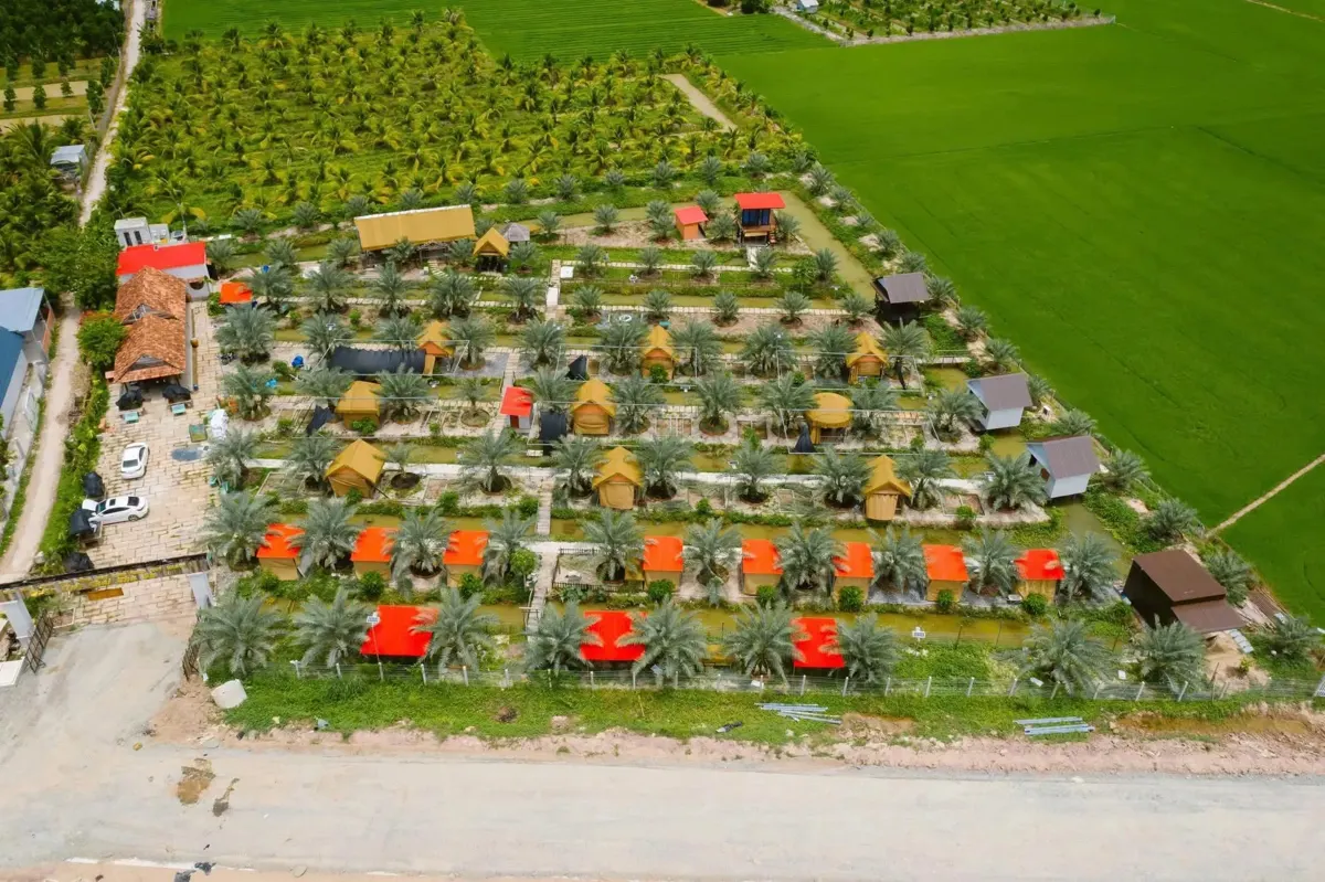 Con Chim Islet: A Guide to Rural Life in Trà Vinh, Mekong Delta
