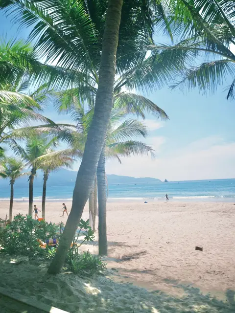 Da Nang Travel Guide: Exploring Central Vietnam's Coastal City