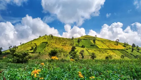 Discovering Pleiku: Central Highlands City Attractions and Cuisine