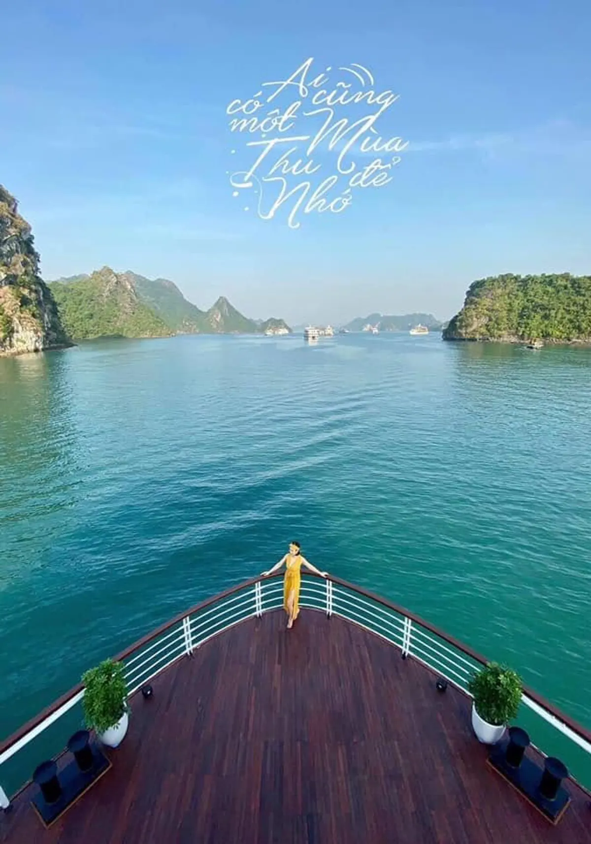 Experiencing the Marine Animal Show on Tuan Chau Island, Halong Bay