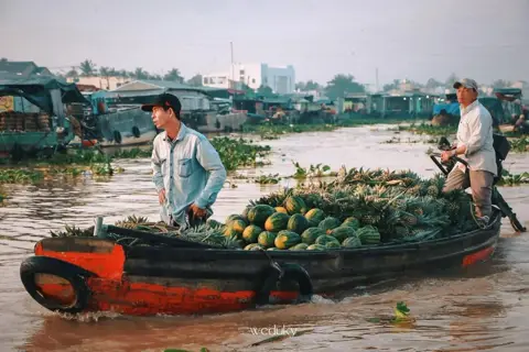 Exploring Đồng Tháp: Nature, History, and Culture in the Mekong Delta