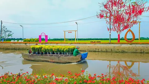 Exploring Mekong Delta's Floating Markets: A Visitor's Guide