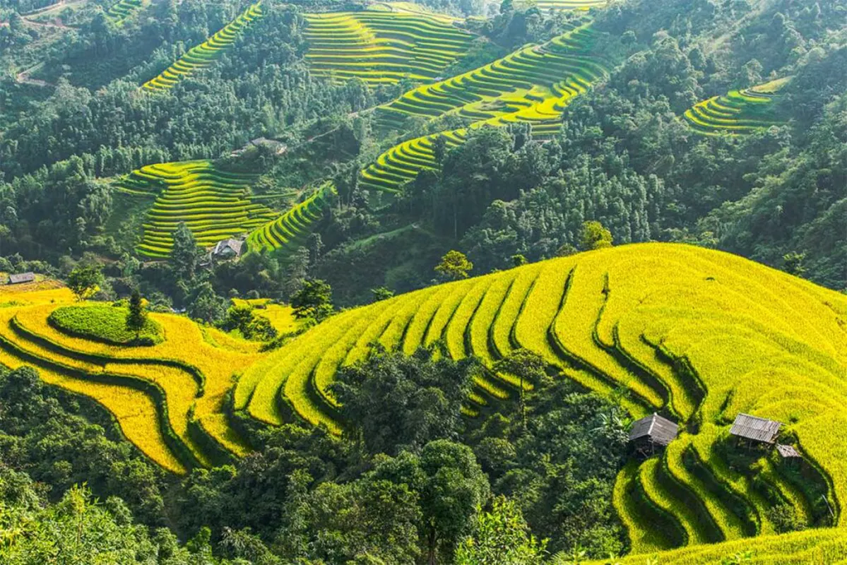 Ha Giang Loop: Exploring Northern Vietnam's Mountainous Frontier
