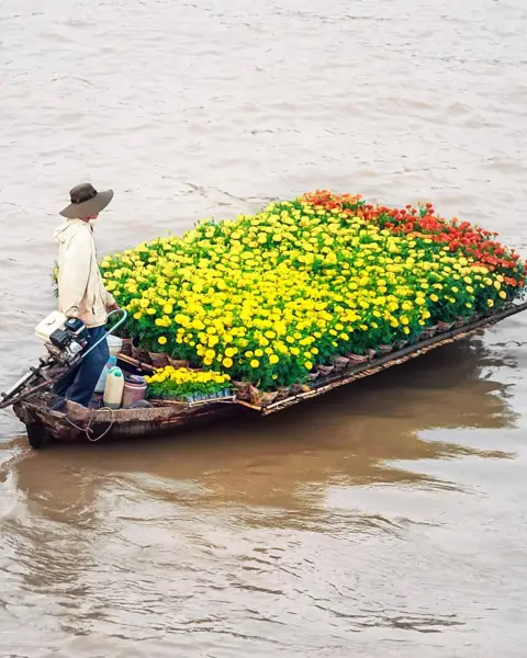Mekong Delta Climate Guide: Understanding Seasons and Best Travel Times