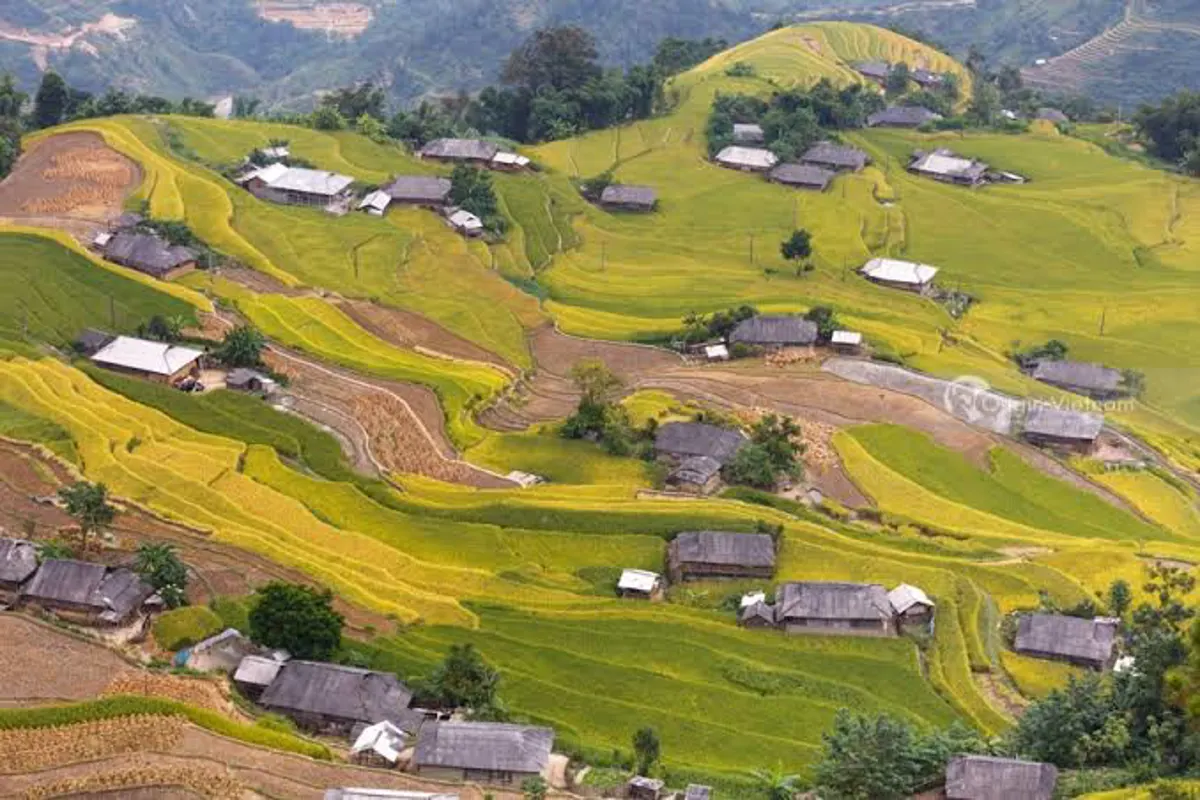 Exploring Vietnam by Motorbike: Routes, Safety, and Essential Advice