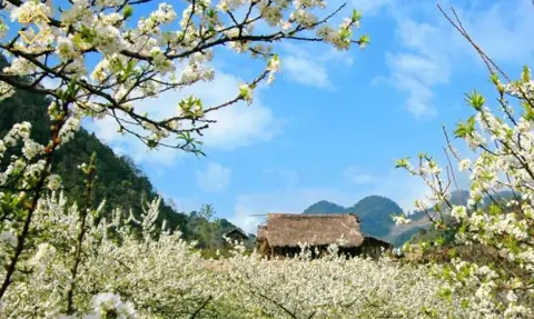 Traveling from Ho Chi Minh City to Sapa: Options and Considerations