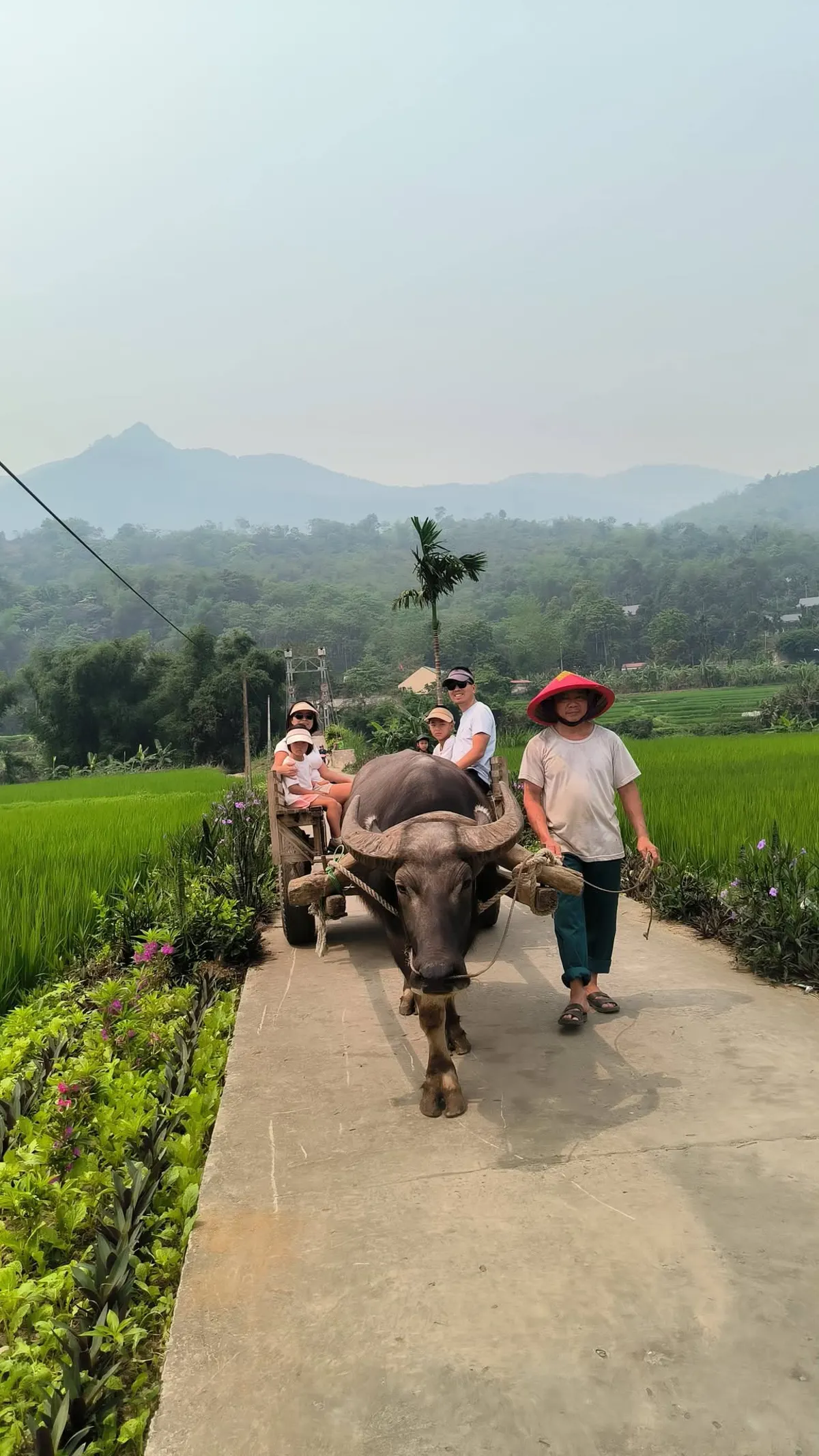 Planning a Trip to Vietnam in June: Weather and Activities