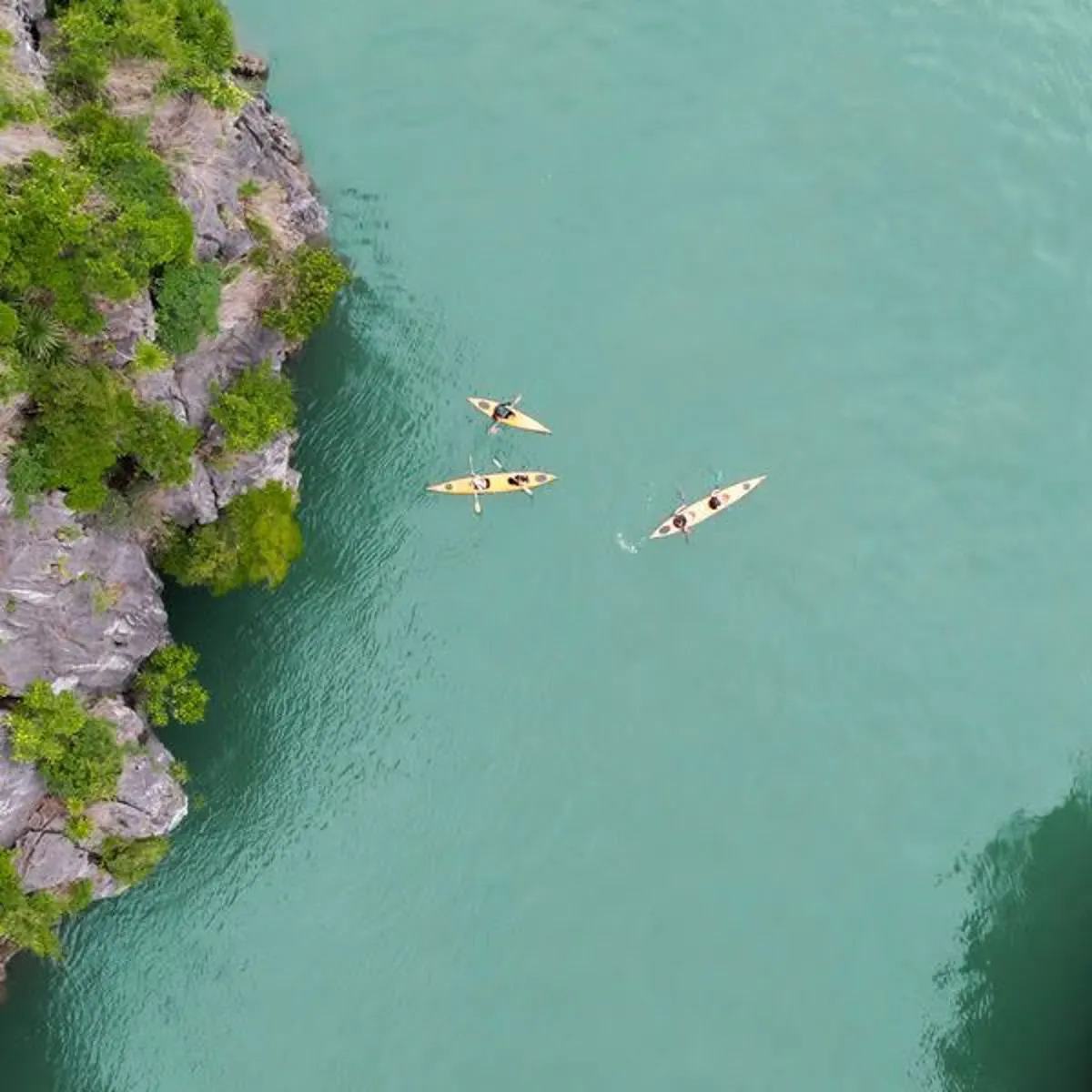 Travel by Bus from Ninh Binh to Halong Bay: Schedules and Fares