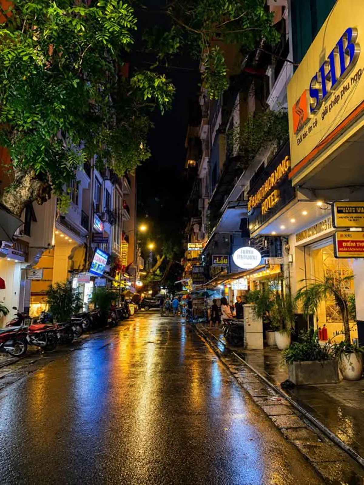 Hanoi's Pho Cuon: A Guide to the Fresh Rolled Noodle Dish