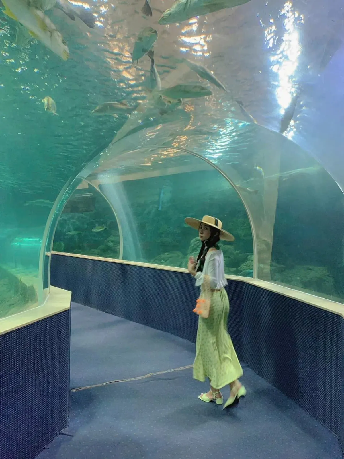 Phu Quoc Island Fishing: A Comprehensive Visitor's Handbook
