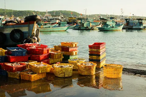 Phu Quoc Island: A Guide to Beaches, Cuisine, and Activities