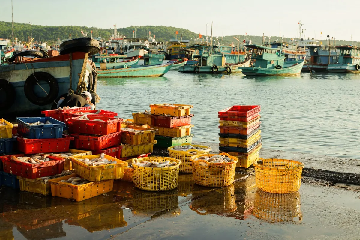 Phu Quoc Island: A Guide to Beaches, Cuisine, and Activities