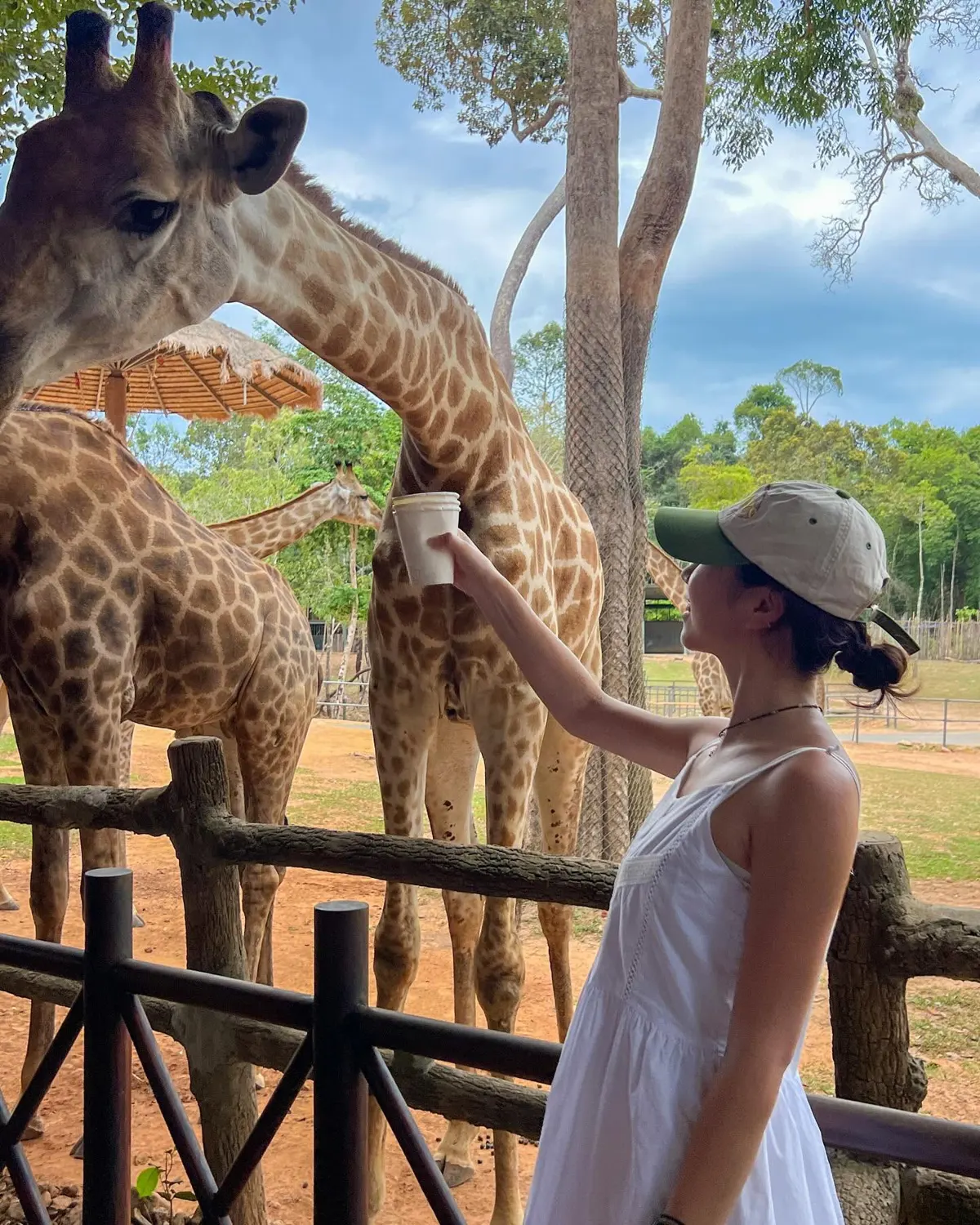 Optimal Seasons for a Phu Quoc Island Trip