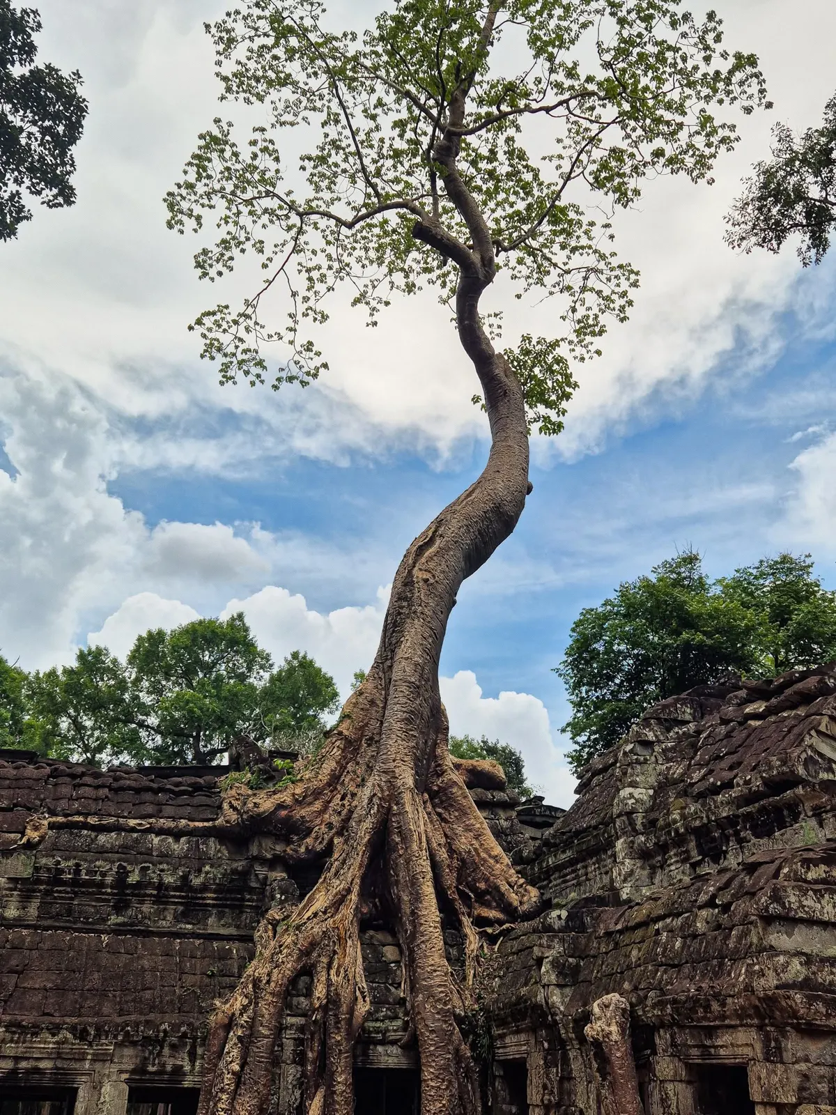 Adventure Travel in Cambodia: Exploring Nature, History, and Culture