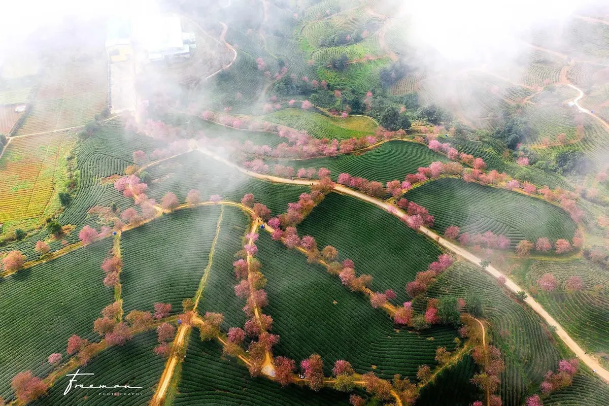 Vietnam in March: Regional Weather, Activities, and Travel Advice