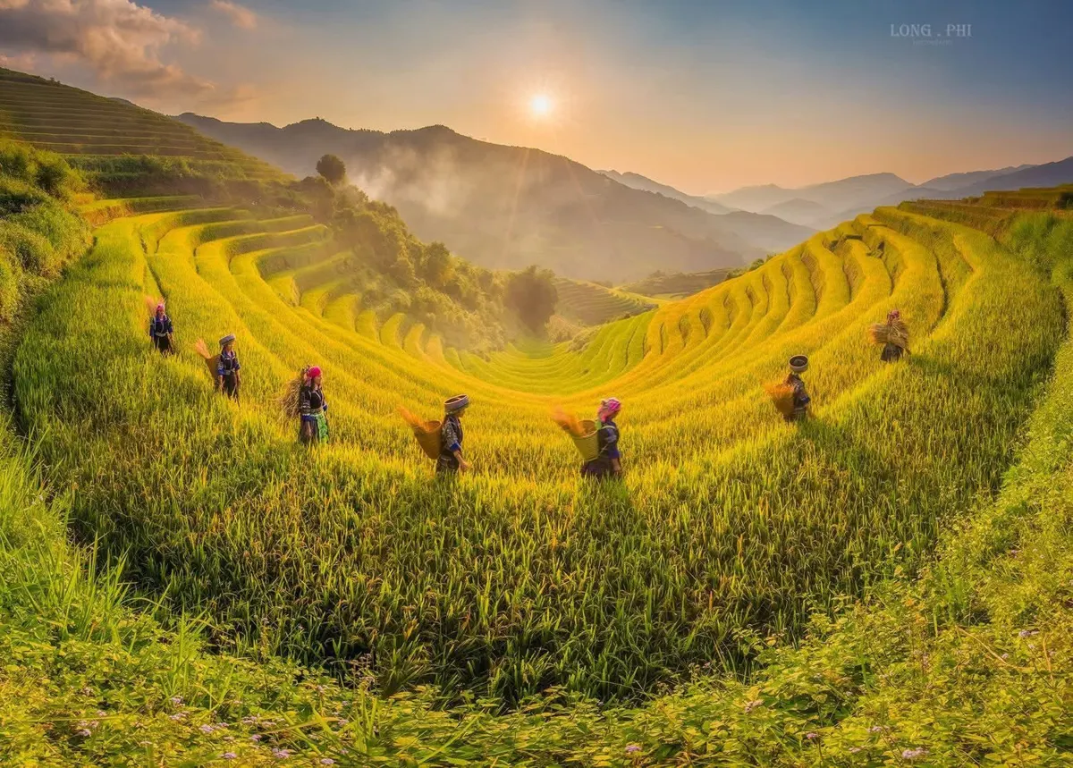 Vietnam's Updated Provincial System: Key Changes for 2025