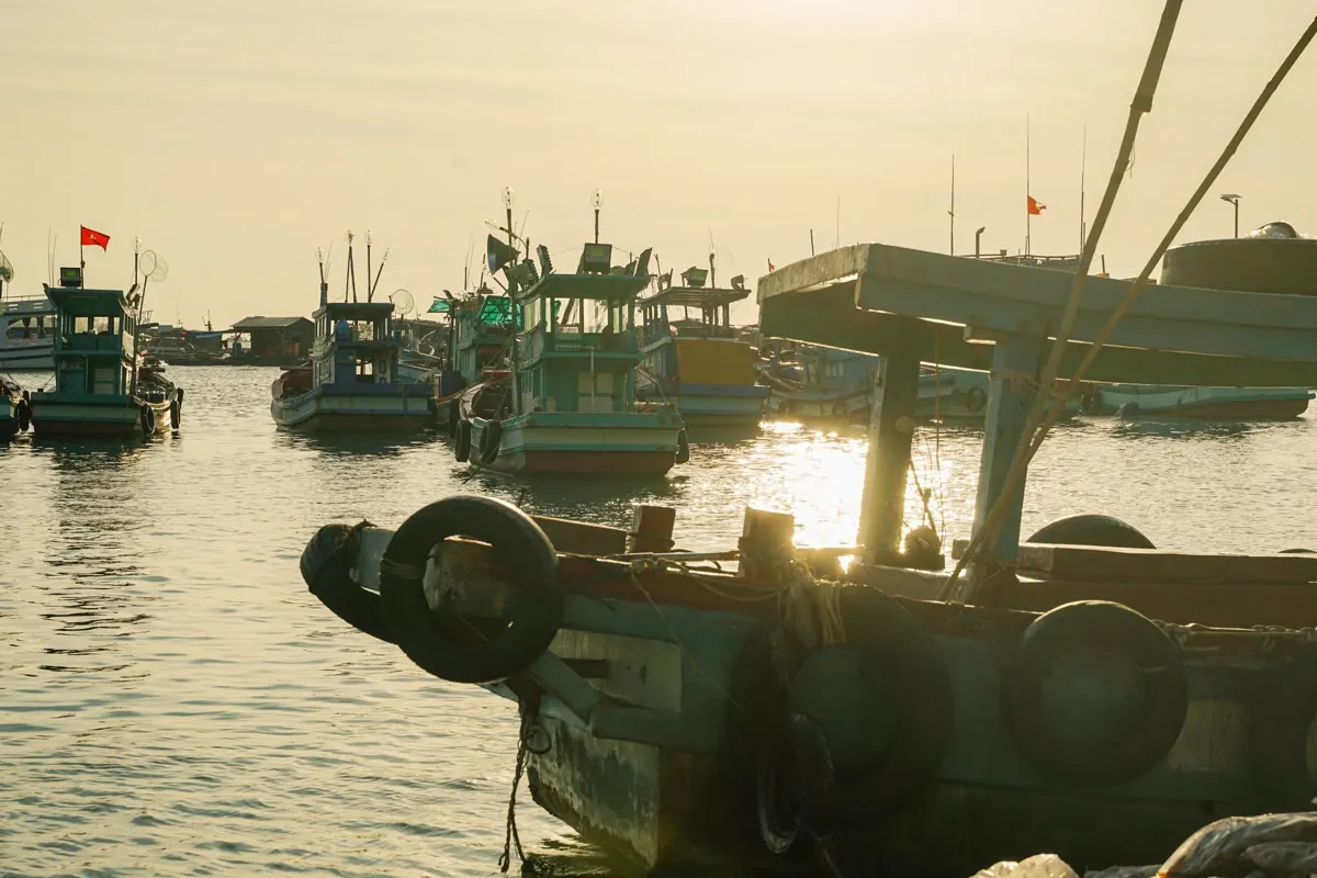 What to Do at Night in Phu Quoc: Markets, Bars & Tours