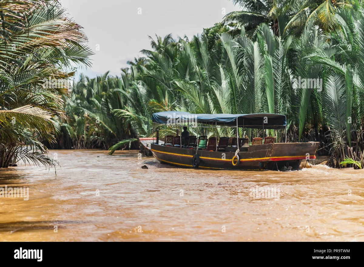 Longtail boats on a narrow waterway surrounded by greenery in the Mekong Delta