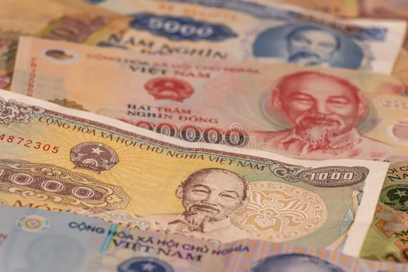 Spread of Vietnamese Dong banknotes on a table