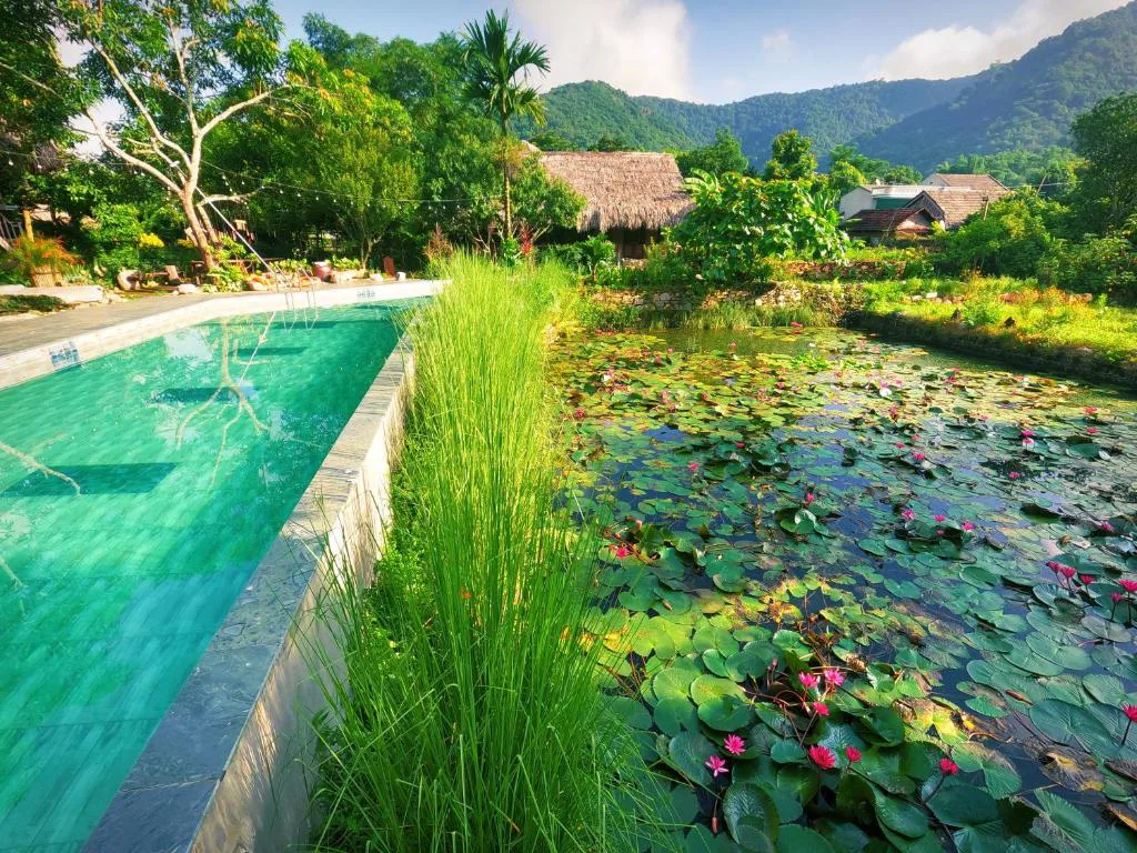 Panoramic view of Mai Chau valley with traditional stilt houses, lush green rice paddies, and distant mountains under a clear