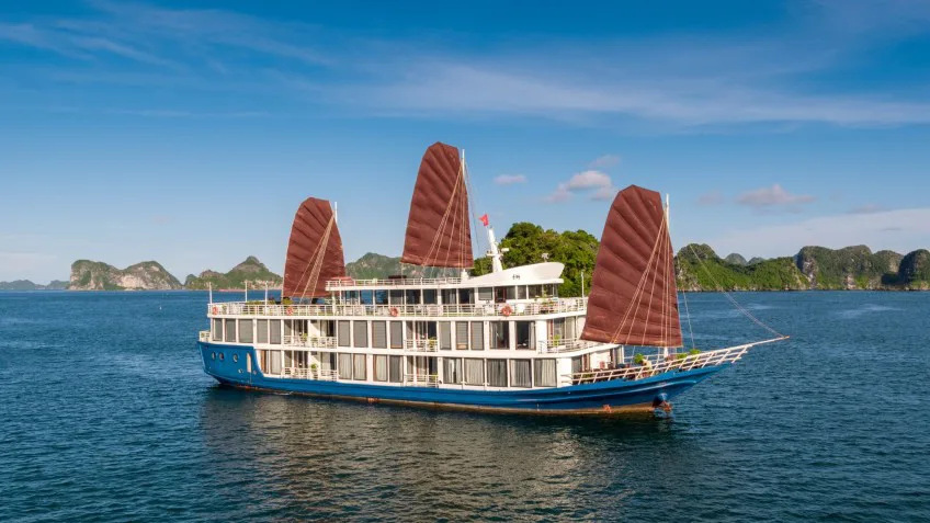 Verdure Lotus Classic Cruise