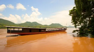 Shompoo Cruise