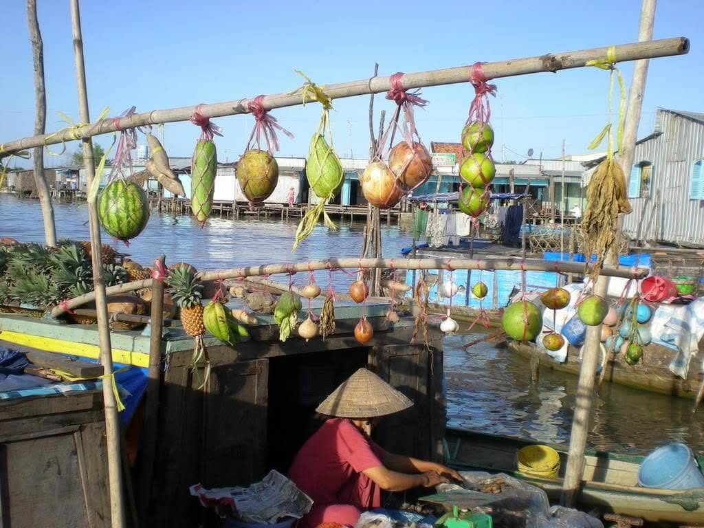 Mekong Delta Tours