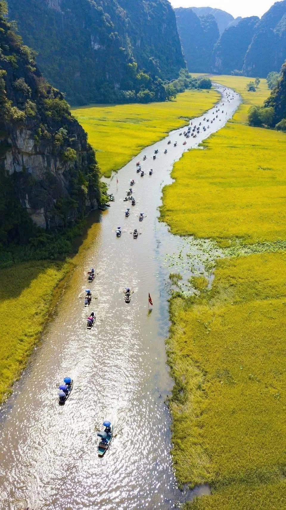Ninh Binh Day Trip: Ancient Capital, Trang An Grottoes & Mua Cave Climb from Hanoi