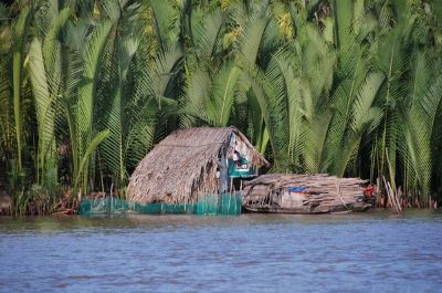 Mekong Delta River Life & Tra Su Forest Adventure – 3 Days