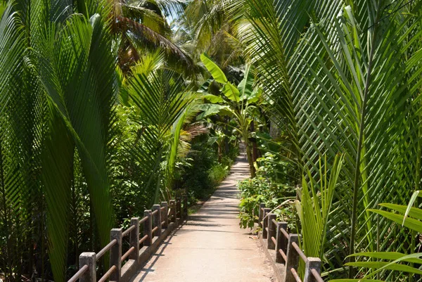 Mekong Delta Cycling & Ben Tre Coconut Culture – 1 Day