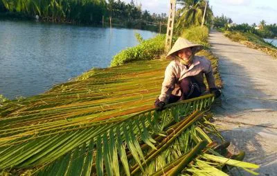 Cyclists passing through rice fields on Cam Kim Island near Hoi An