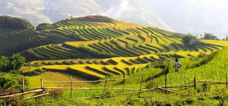 Sapa Highlands & Ecolodge Retreat by Rail – 5 Days